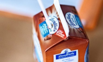 Streit um Kakao-Förderung: Foodwatch kritisiert Schulmilchprogramm scharf