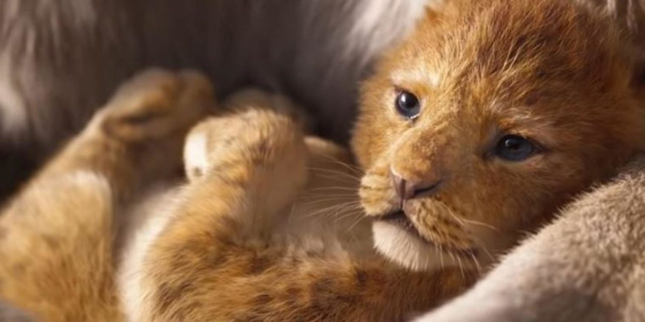 „Der König der Löwen“: Der erste Trailer ist raus – so reagiert das Netz