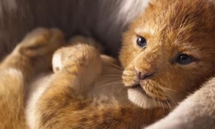 „Der König der Löwen“: Der erste Trailer ist raus – so reagiert das Netz