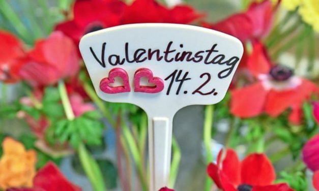 Valentinstag: Alle Infos zu Herkunft und Bedeutung