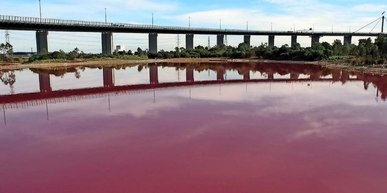 Warum ein See in Australien plötzlich knallrosa wurde