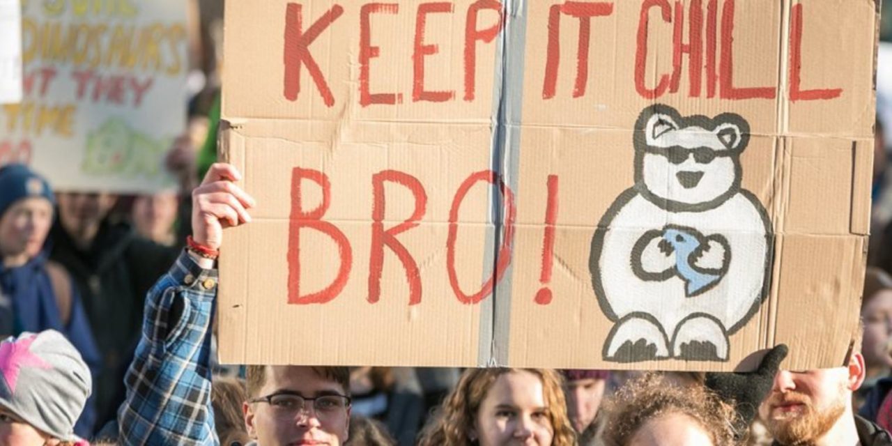 Schüler streiken in Hannover fürs Klima