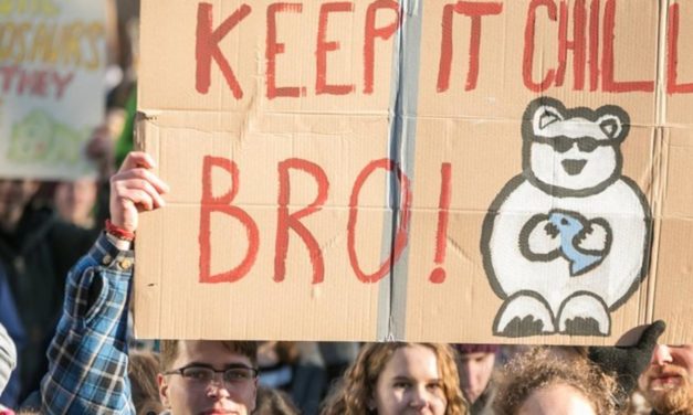 Schüler streiken in Hannover fürs Klima