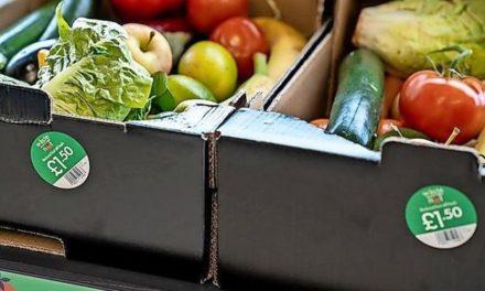 Lidl UK verkauft „mangelhafte“ Lebensmittel zu Spott-Preisen