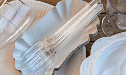 Umweltbewusst Grillen: Wie gut ist plastikfreies Geschirr wirklich?