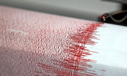 Wie Twitter helfen kann, Erdbeben schneller zu orten