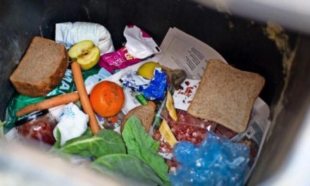 Weggeworfene Lebensmittel: Hamburg will das „Containern“ erlauben