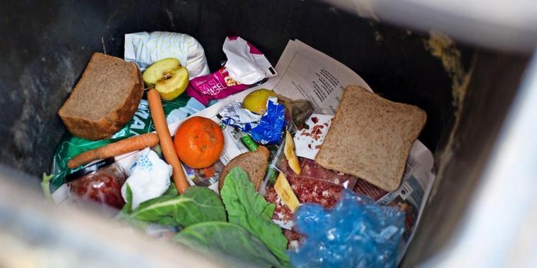 Weggeworfene Lebensmittel: Hamburg will das „Containern“ erlauben