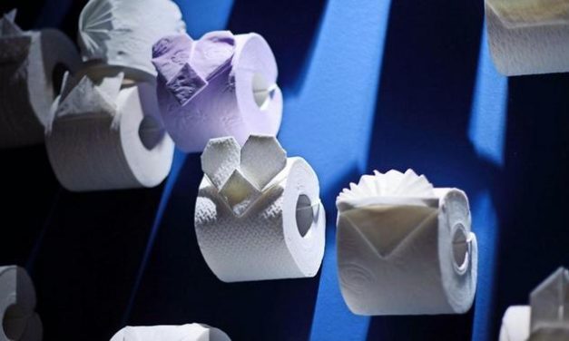 Toilettenpapier zu Rosen geformt: Einbrecher räumt Haus auf