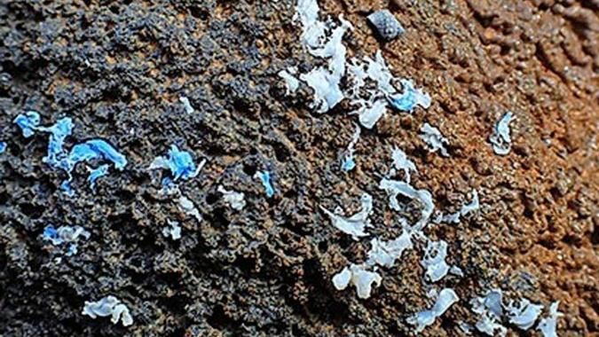 Neues Plastikproblem: „Plastikkruste“ überzieht Küstenfelsen