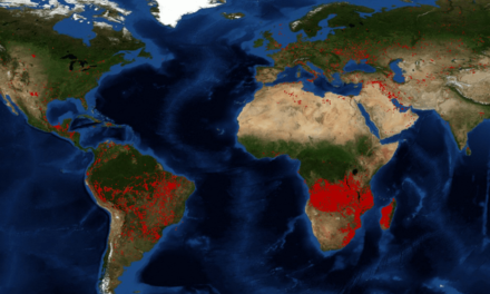 Erschreckende Karte der NASA zeigt, wo es auf der Welt überall brennt