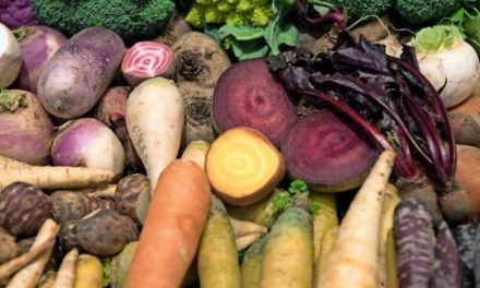Veganismus: Wie gesund ist eine vegane Ernährung?
