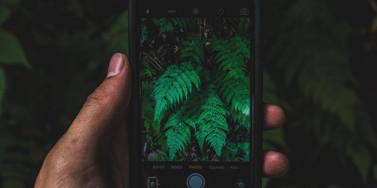 Nachhaltigkeit auf’s Handy: 10 Apps für einen grüneren Alltag