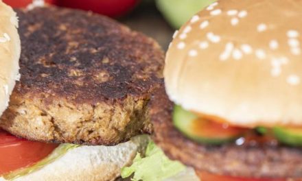 Vegane Burger im Öko-Check: Verunreinigungen und Gentechnik gefunden