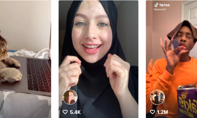 TikTok: Das sind die beliebtesten Videos