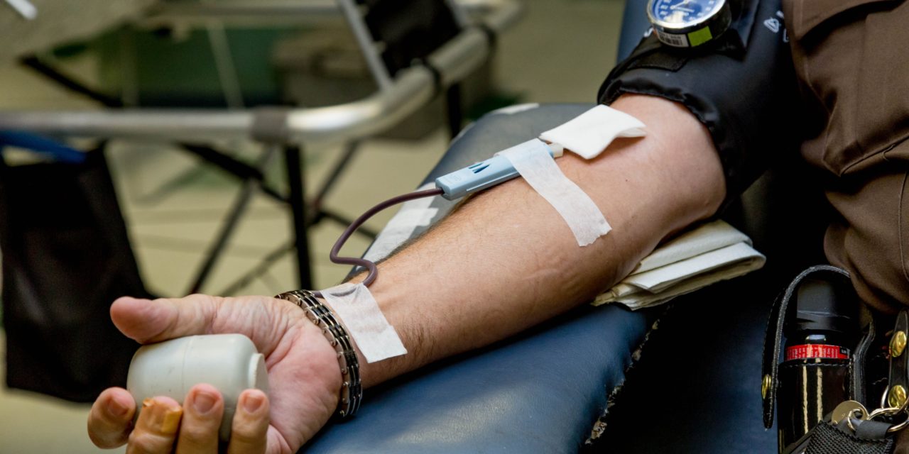 Blut spenden: So einfach wirst du in einer Stunde zum Lebensretter