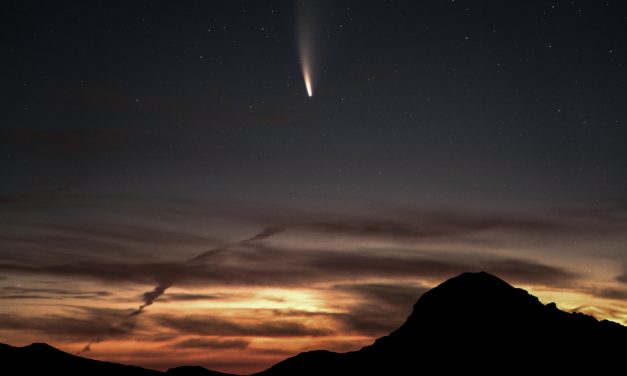 Komet beobachten: Jetzt ist Neowise der Erde ganz nah