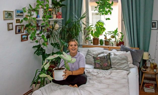 Urban Jungle: Sheila (20) hat einen Dschungel im WG-Zimmer