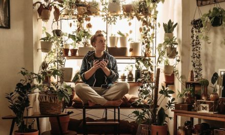 Auf Maries Instragram-Account dreht sich alles um Pflanzen und Introvertiertheit