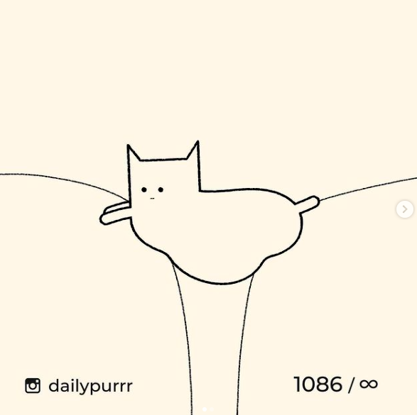 Die tägliche Portion Katzencontent auf Instagram