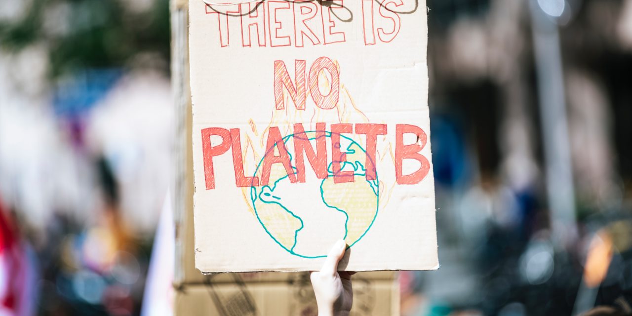 Klimaneutralität auf dem Campus: Wie Unis nachhaltig werden wollen