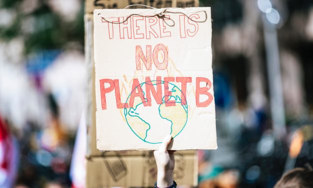 Klimaneutralität auf dem Campus: Wie Unis nachhaltig werden wollen