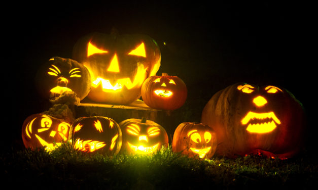 Tiktok zum Gruseln: Diese vier Accounts verbreiten Halloween-Stimmung