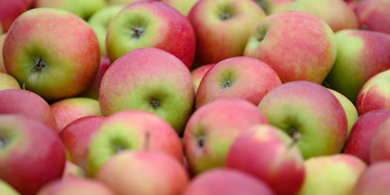 Apfelkerne enthalten viele Eiweiße und Fette