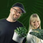 „Grün färbt ab“: Der Podcast zu Zimmerpflanzen