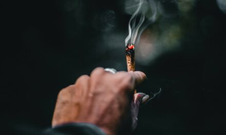 Cannabis-Legalisierung – sinnvoll oder gefährlich? Ein Pro und Contra
