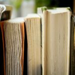 Nach Bücherverbot in Florida: Wie ein kleiner Laden 20.000 Exemplare rettet