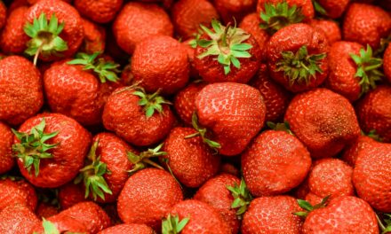 „Erdbeeren machen glücklich“: Was hinter dem Projekt der Influencerin Florentine steckt