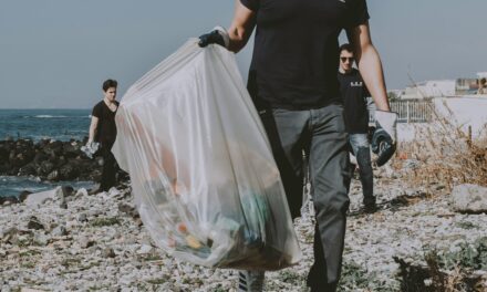 World Cleanup Day: Das kannst du gegen Müll auf den Straßen tun